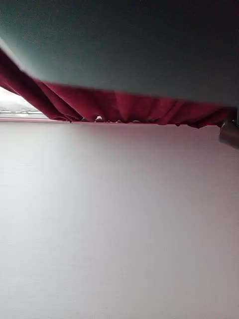 Veta-Viola Live Sex December 24, 2025