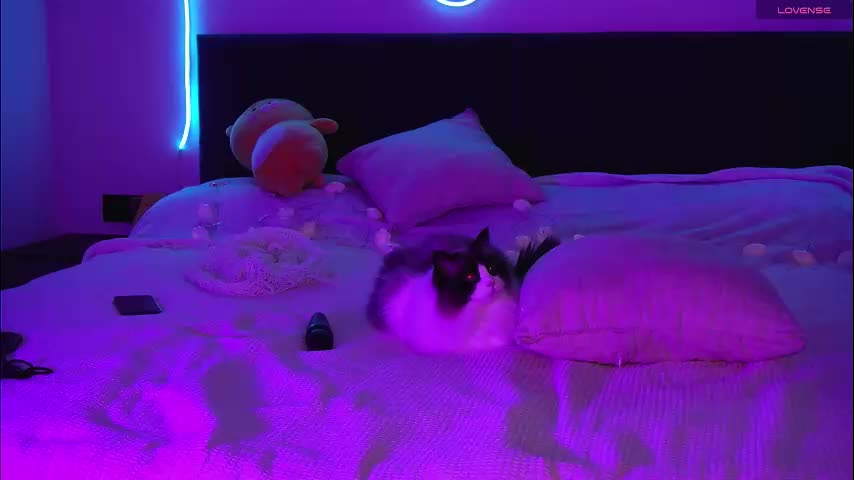 limy_sweet Live Sex December 24, 2025