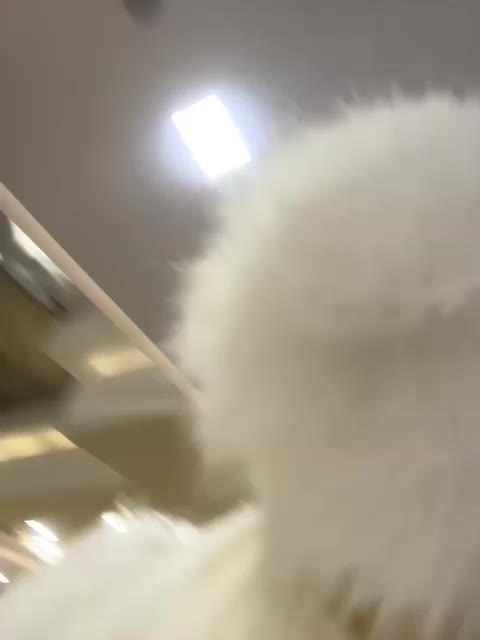 Tvoyasamka77 Live Sex December 25, 2025