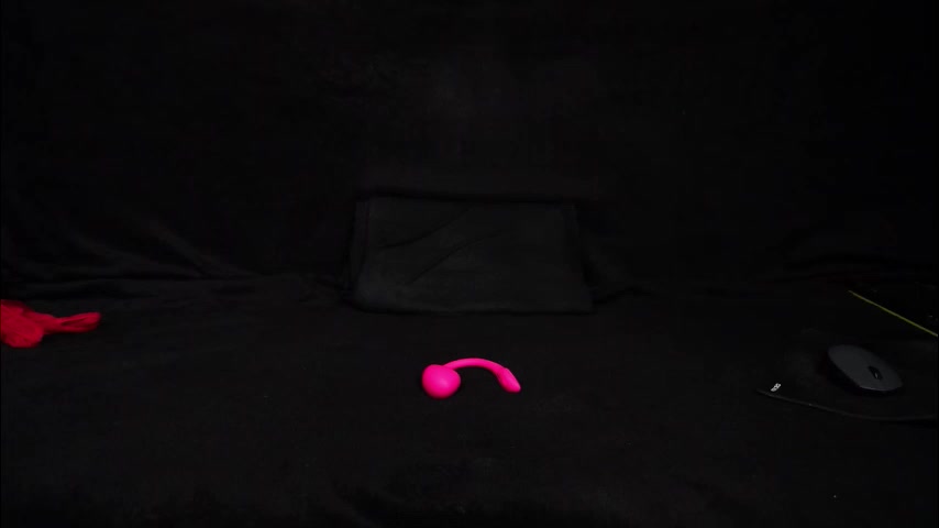 stop_panic Live Sex December 25, 2025