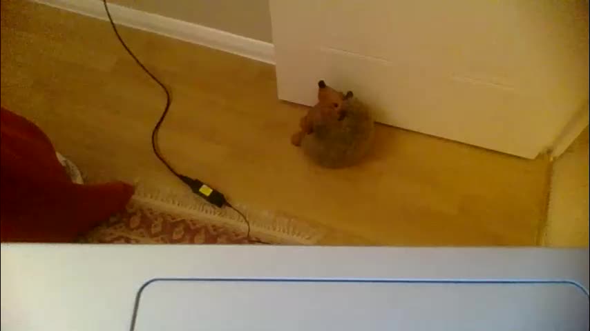 annecharlie Live Sex December 25, 2025