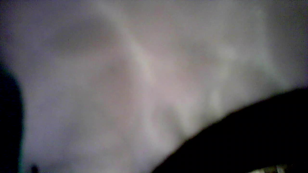 EridaLisa Live Sex December 25, 2025