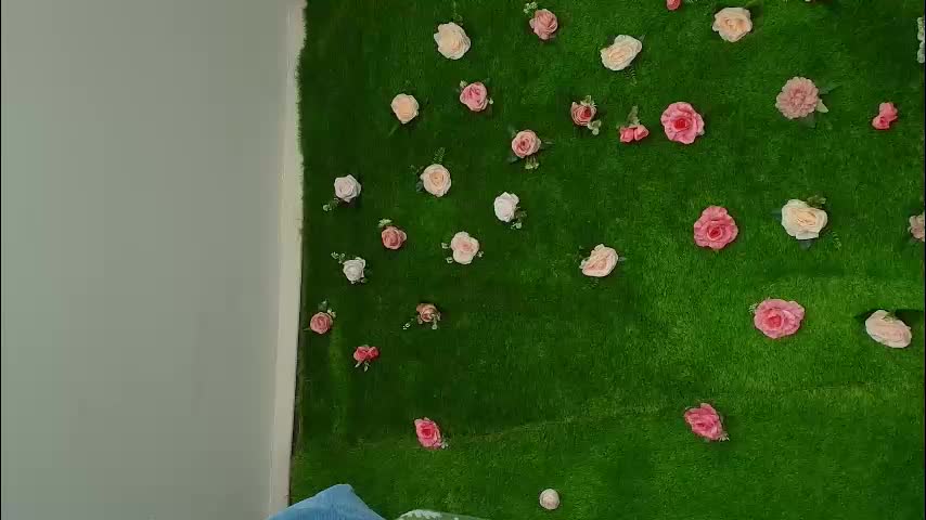 megatitts_ Live Sex December 25, 2025