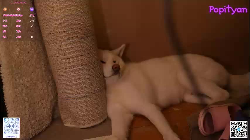 popityan Live Sex December 26, 2025