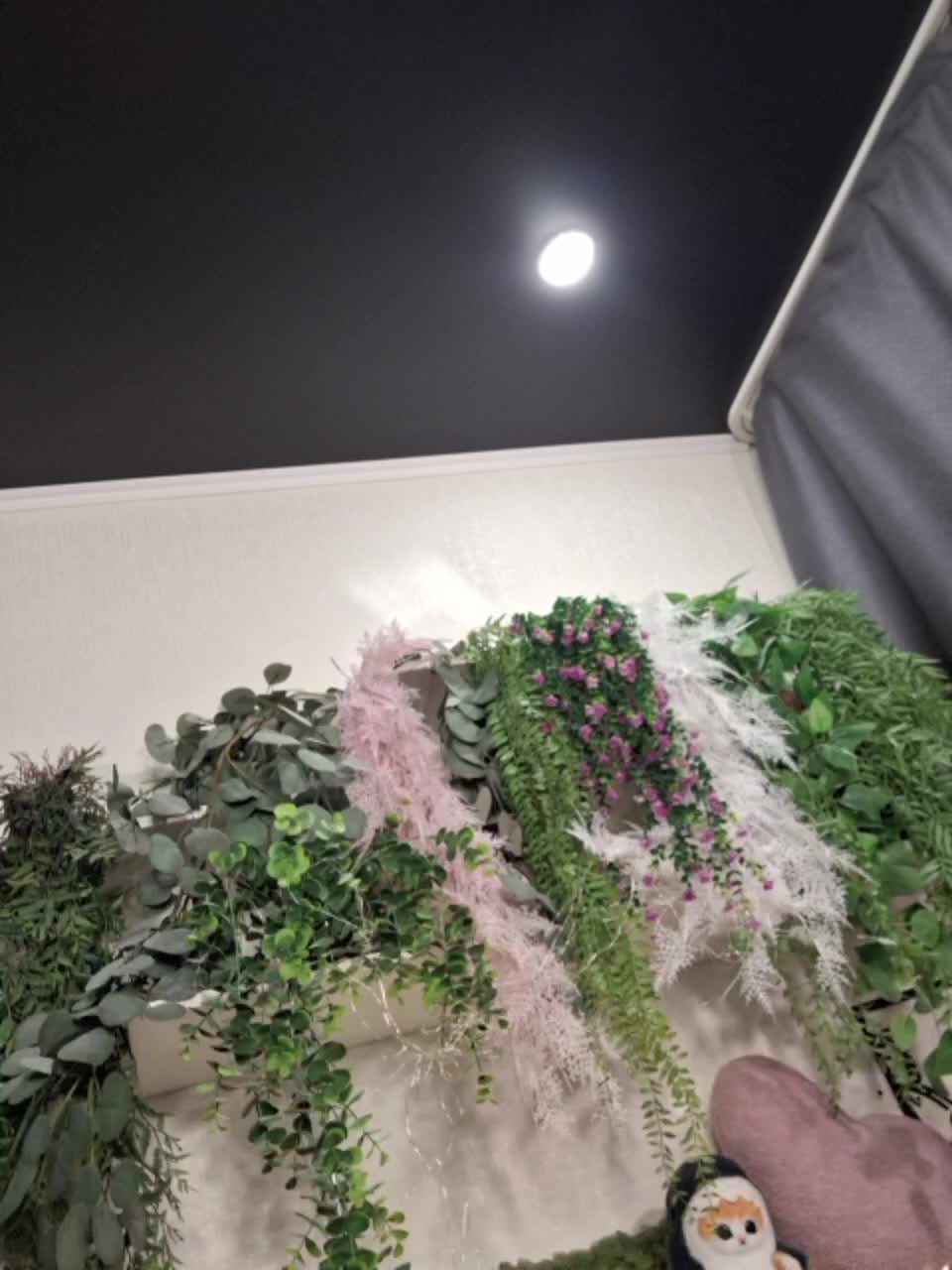 -scyrim- Live Sex December 27, 2025