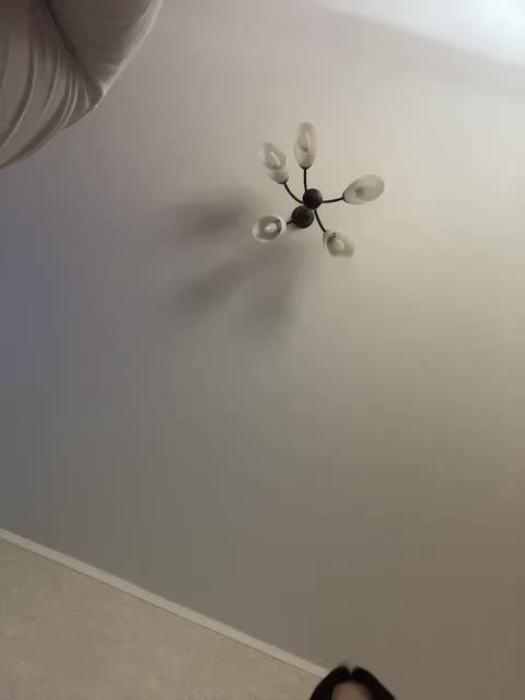 HellMor Live Sex December 27, 2025