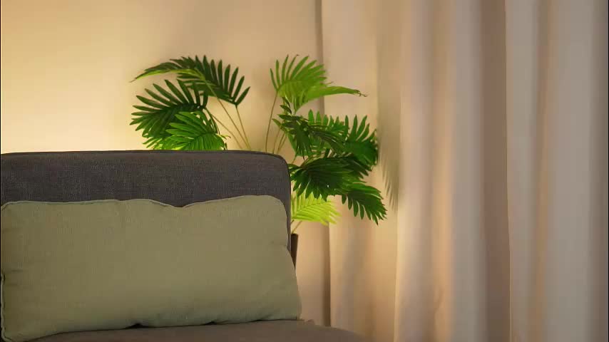 akumadadrive Live Sex December 28, 2025