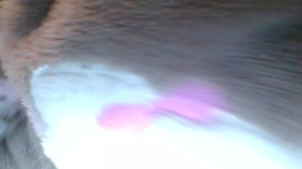 69Belka69 Live Sex December 28, 2025