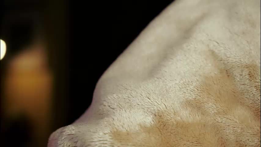 roxxxete Live Sex December 28, 2025