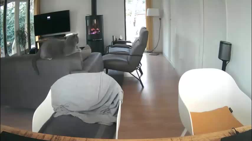 woodwurm Live Sex December 28, 2025