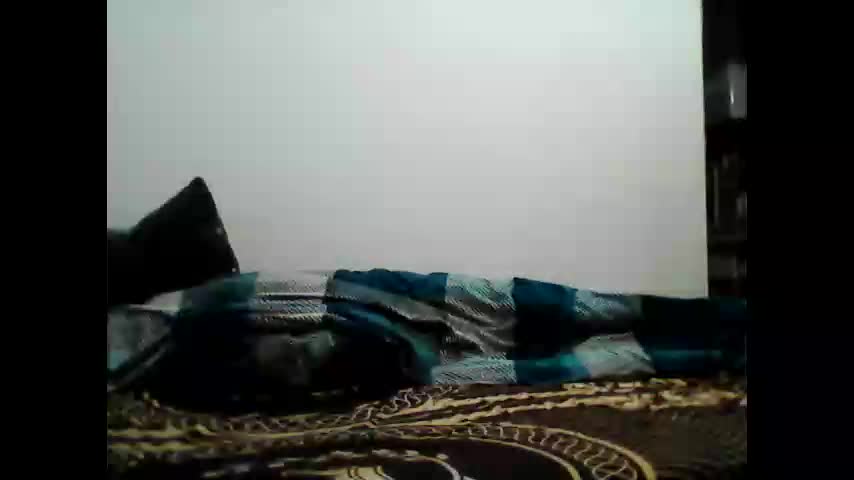 animus987 Live Sex December 28, 2025