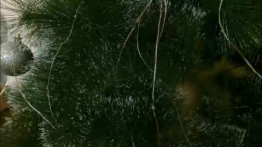 imcarrieberry Live Sex December 28, 2025