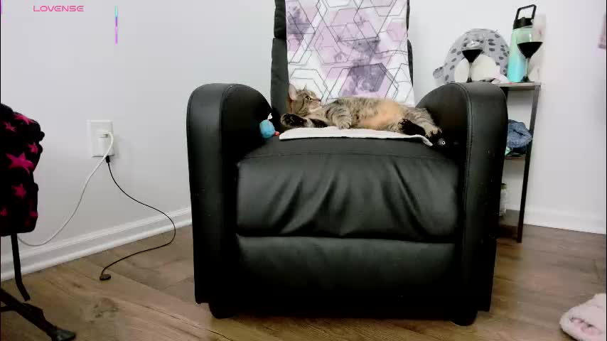 jjjust4fun1985 Live Sex December 28, 2025