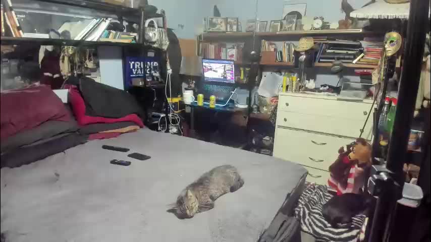 pink_black Live Sex December 28, 2025