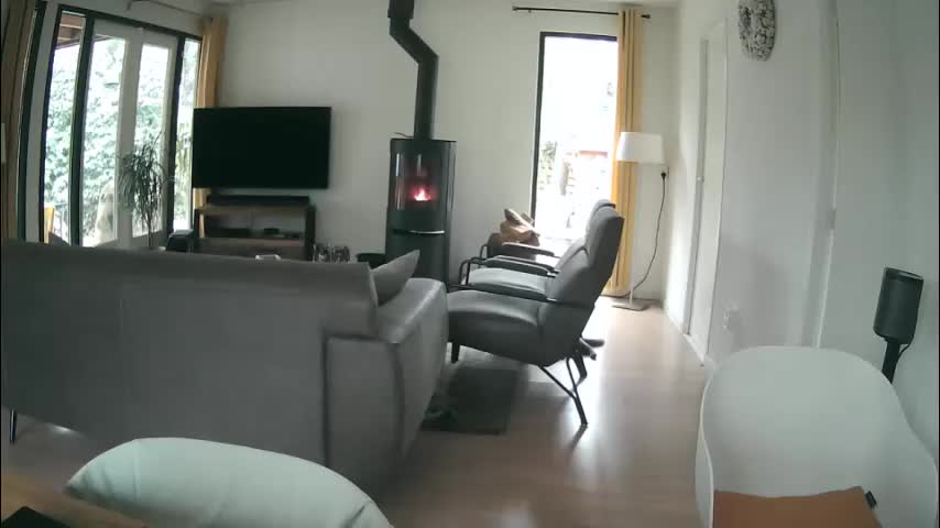 woodwurm Live Sex December 28, 2025