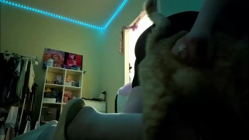 milliedoll Live Sex December 29, 2025