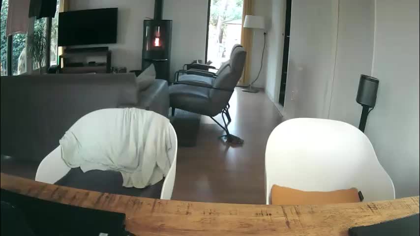 woodwurm Live Sex December 29, 2025