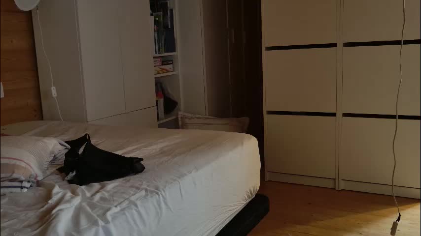 wild41 Live Sex December 29, 2025