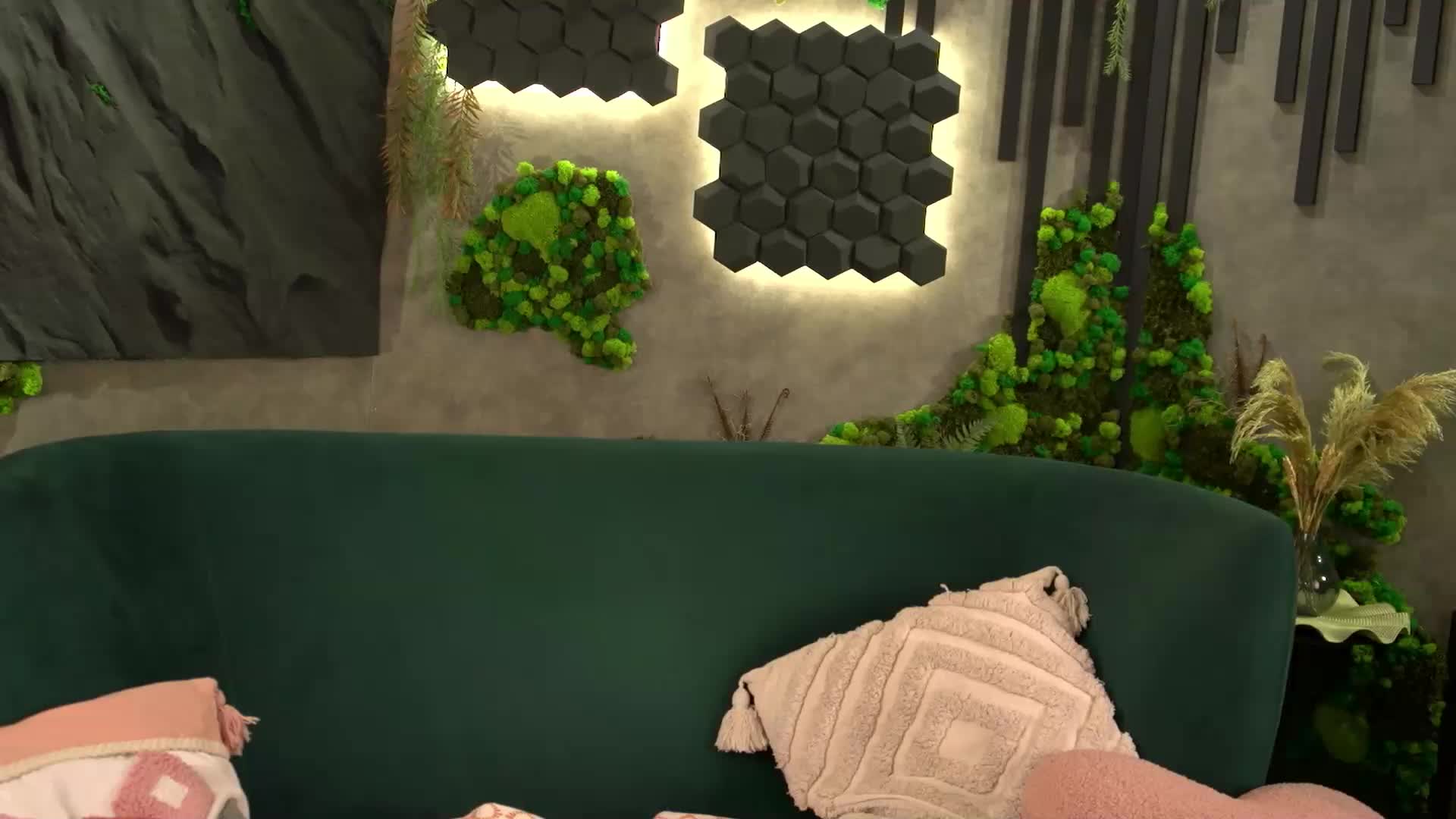 amberpaws Live Sex December 29, 2025