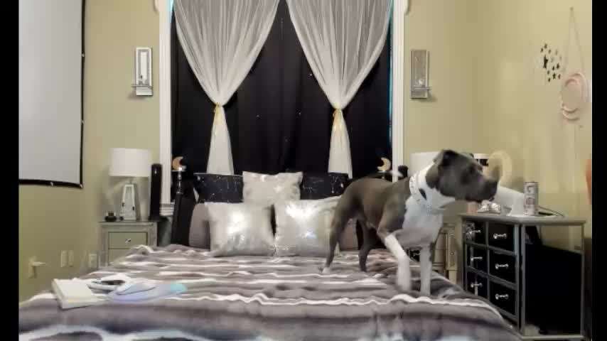 texaspeach69 Live Sex December 29, 2025