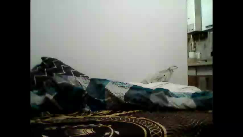 animus987 Live Sex December 29, 2025