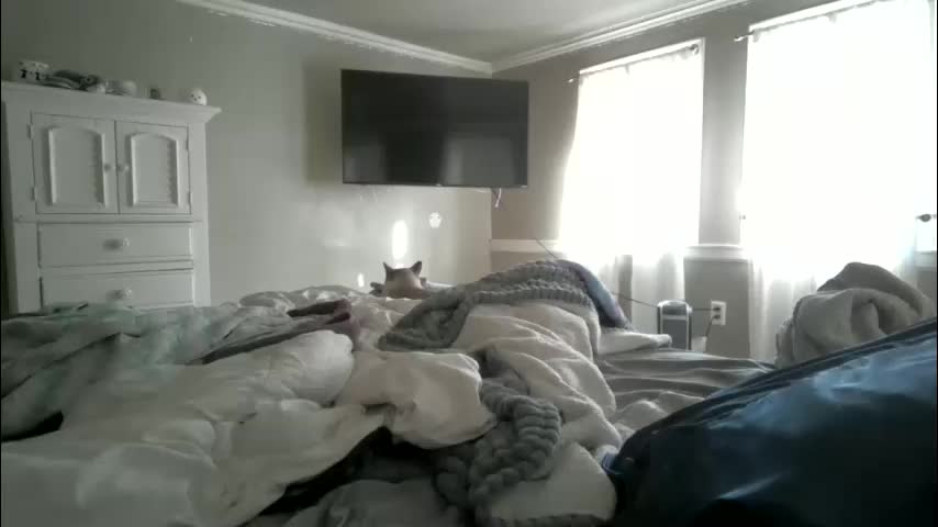 madisonfelicia Live Sex December 29, 2025