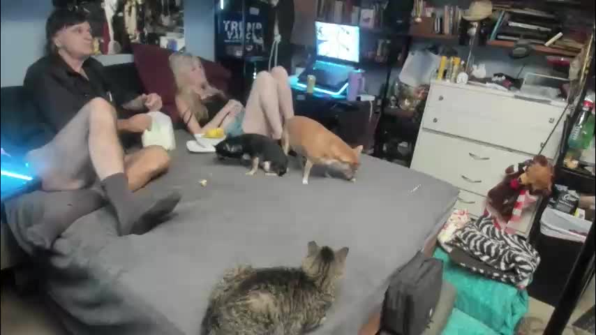 pink_black Live Sex December 29, 2025