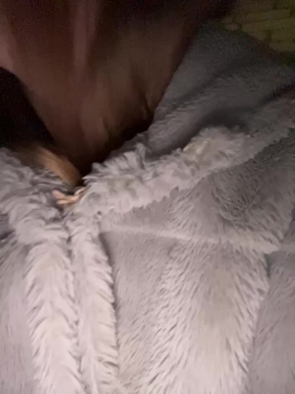 SWEET1SQUIRT Live Sex January 6, 2026