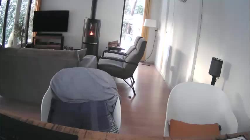 woodwurm Live Sex January 6, 2026