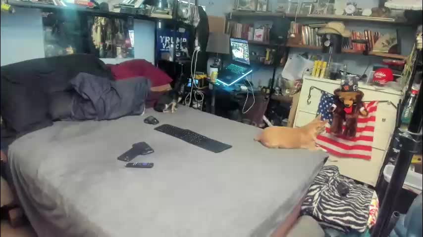 pink_black Live Sex January 6, 2026