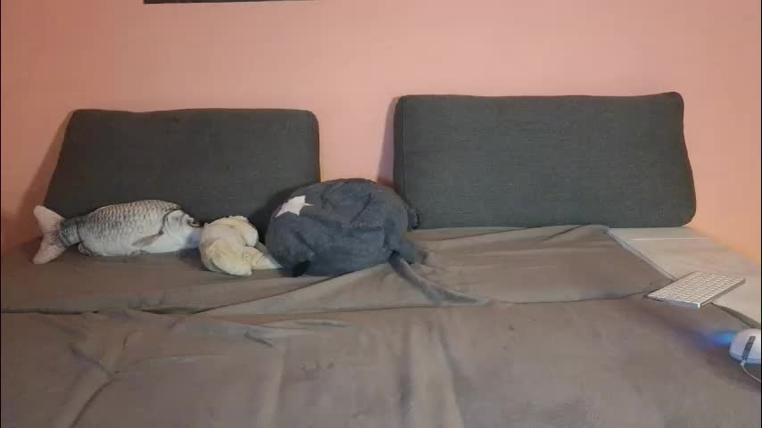 katusha008 Live Sex January 6, 2026