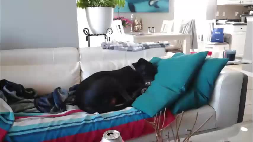 smallpenisbigtongue Live Sex January 6, 2026