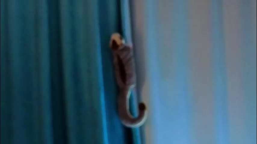 jolyndeb Live Sex January 6, 2026