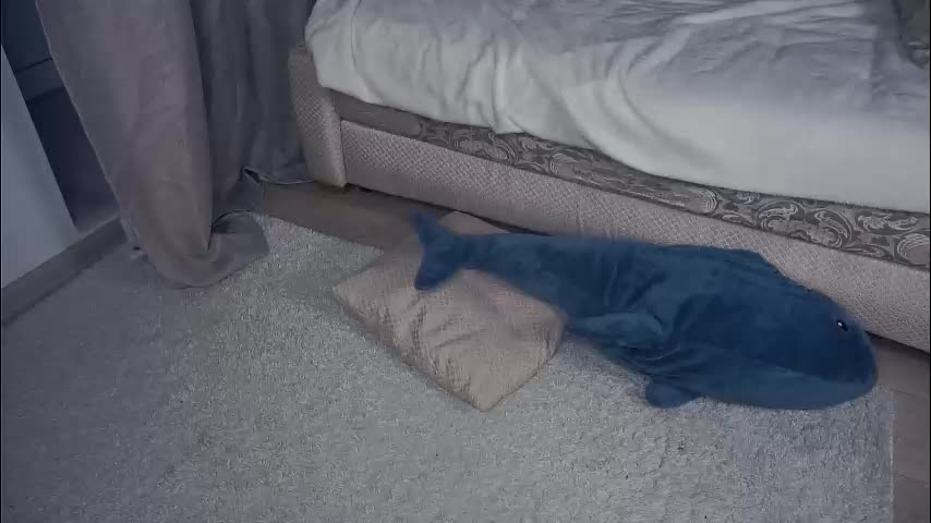 meghanantell Live Sex January 6, 2026