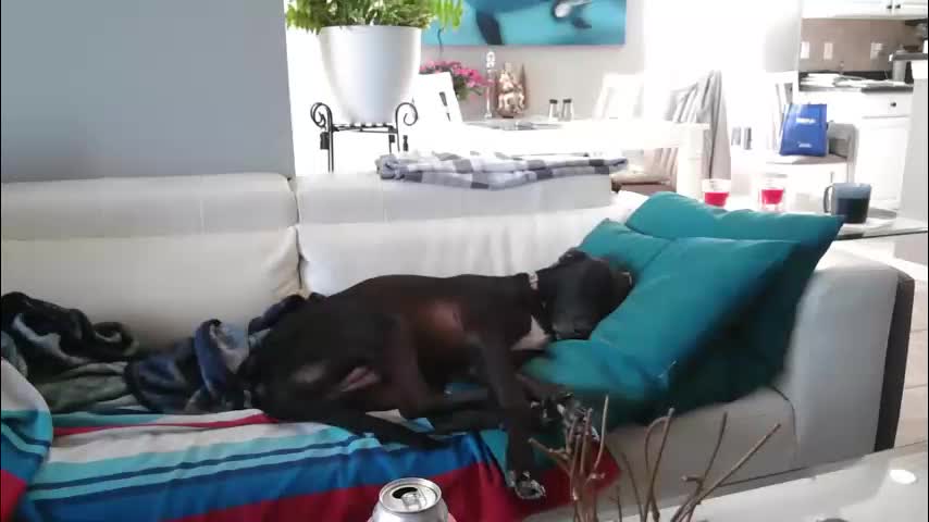 smallpenisbigtongue Live Sex January 6, 2026