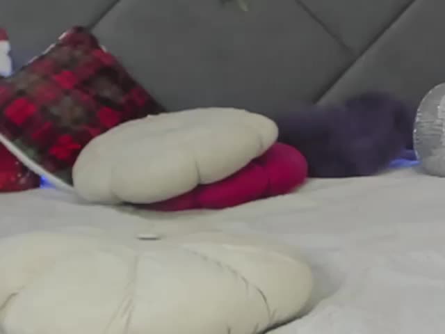 HollyTaillor Live Sex January 6, 2026