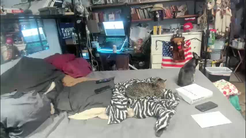 pink_black Live Sex January 6, 2026