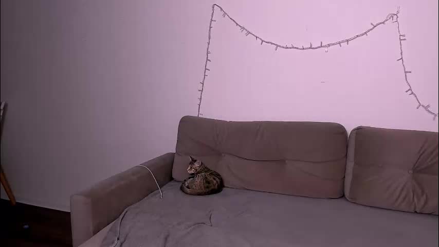 ladytrep Live Sex January 7, 2026