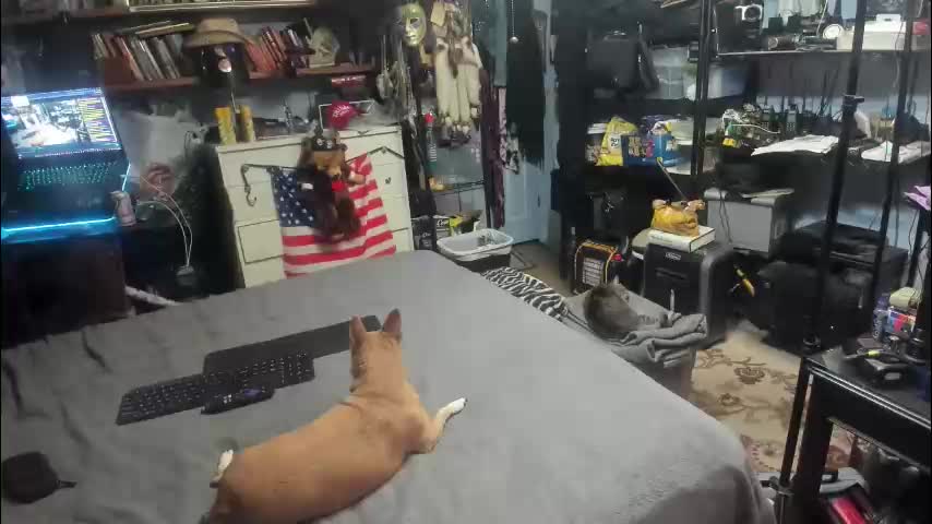 pink_black Live Sex January 7, 2026