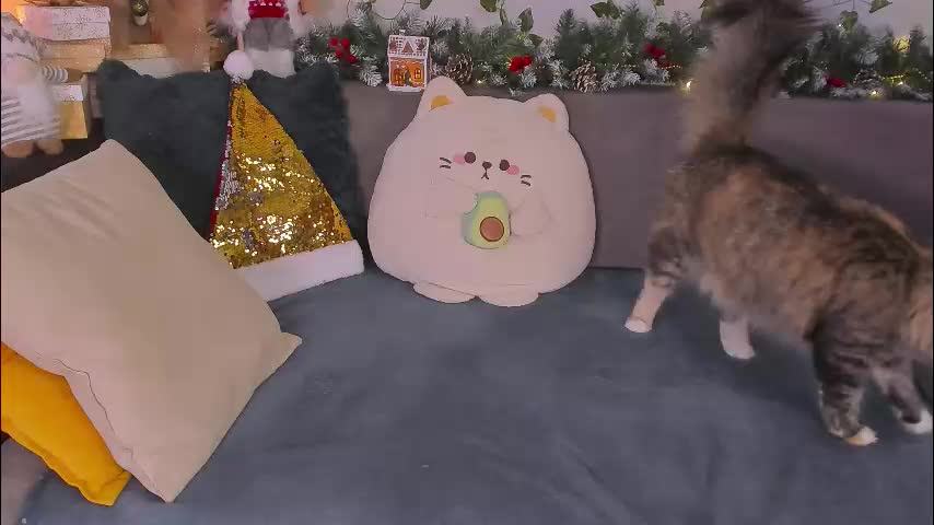 tori_the_witch Live Sex January 7, 2026