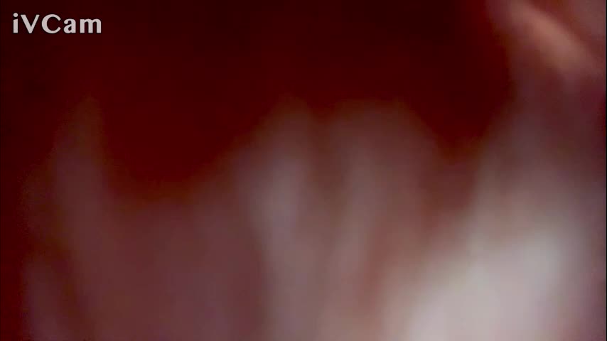 adele_kawaii Live Sex January 7, 2026