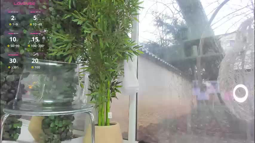 lexi_storm Live Sex January 7, 2026