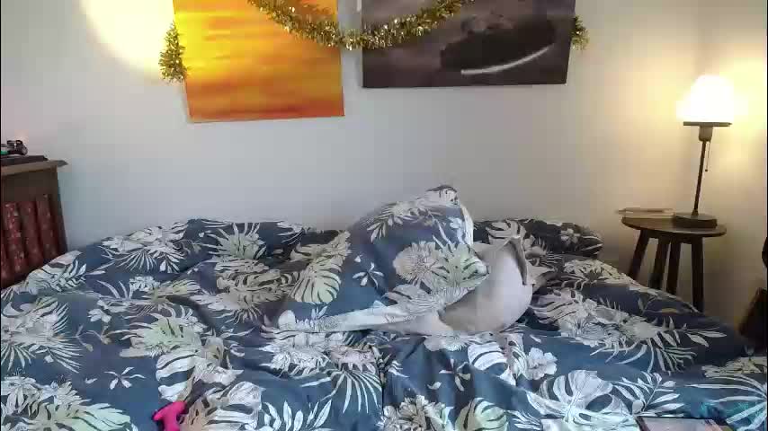 alice8363 Live Sex January 7, 2026