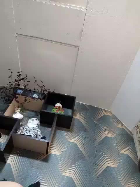 GumaLis13 Live Sex January 8, 2026