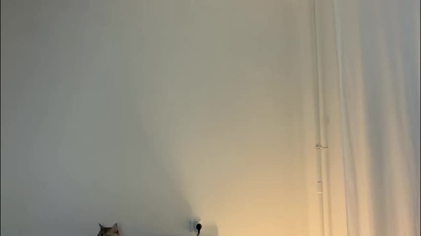 milky__way_ Live Sex January 8, 2026