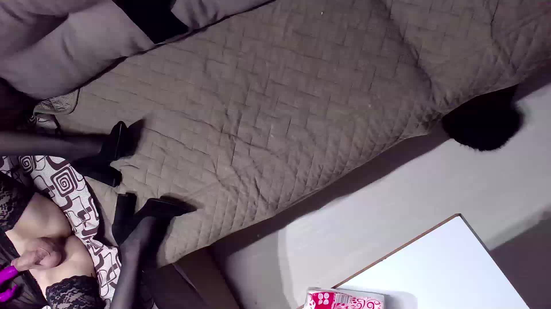 Bipara69 Live Sex January 8, 2026