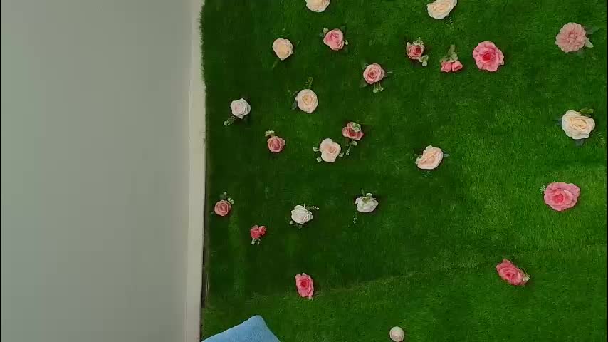 megatitts_ Live Sex January 8, 2026