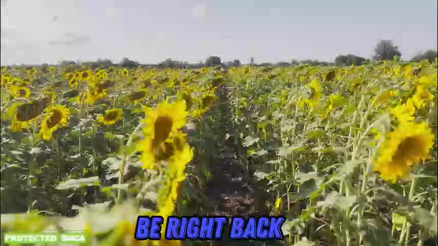 sunflower0907 Live Sex January 9, 2026