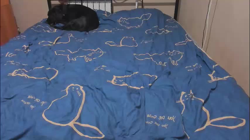 eva_zero Live Sex January 9, 2026