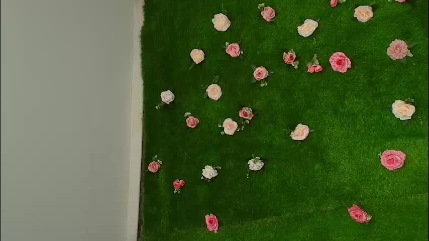 megatitts_ Live Sex January 9, 2026